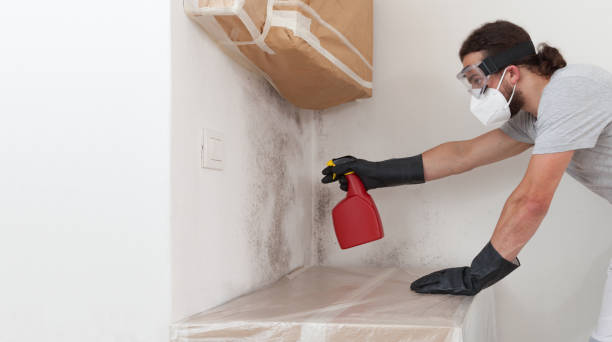 Professional Black Mold Remediation technician working in Lewisville, NC
