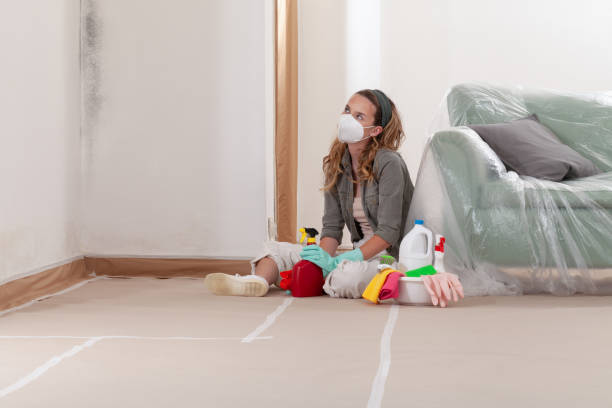 Reliable Black Mold Remediation contractor in Lewisville, NC by Car Mold Remediation